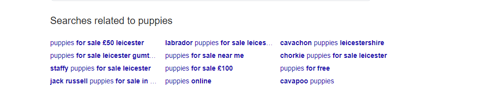 serp results screenshot